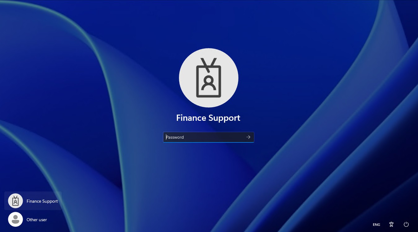 Windows 11 Login Screen